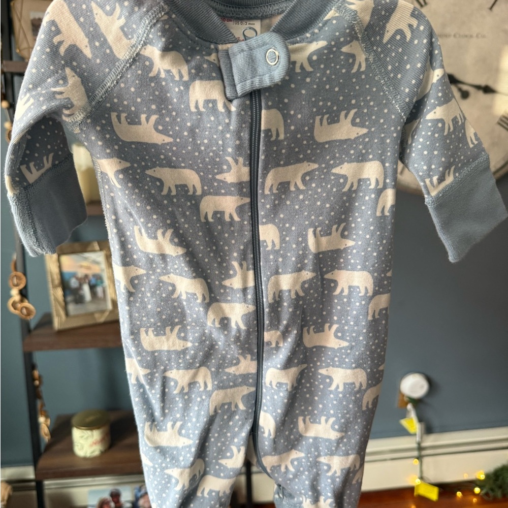 Hanna Andersson Blue Onesie with Polar Bear Design